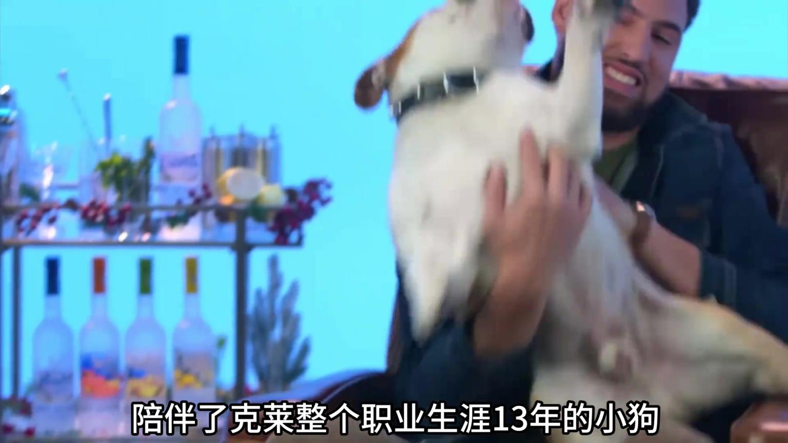 陪伴克萊13年的小狗去世了，不敢相信克萊得多么傷心